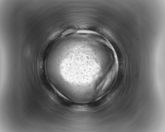 X0000086030548200704091134