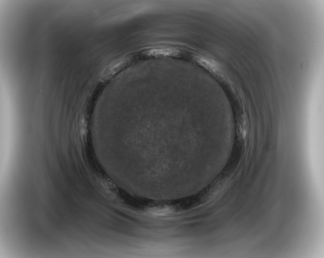 X0000086030551200704091134