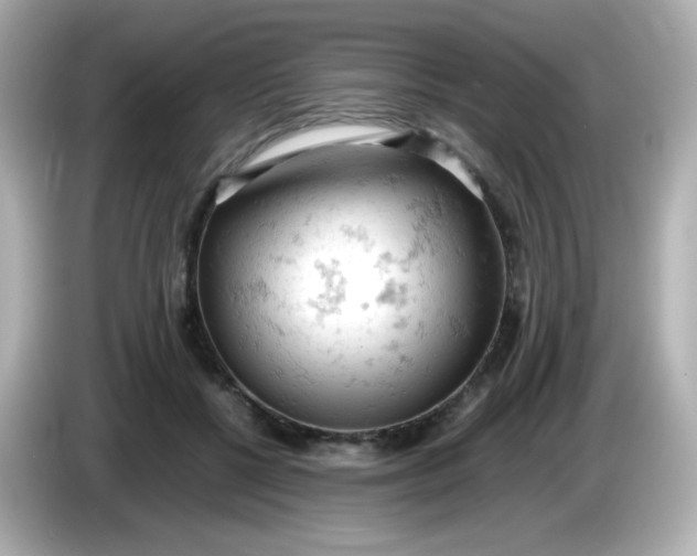 X0000086030552200704091134