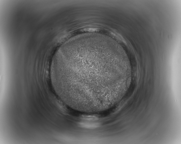 X0000086030553200704091134