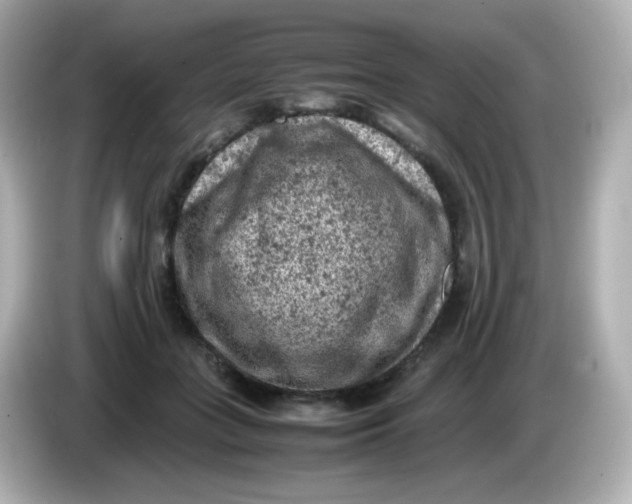 X0000086030555200704091134