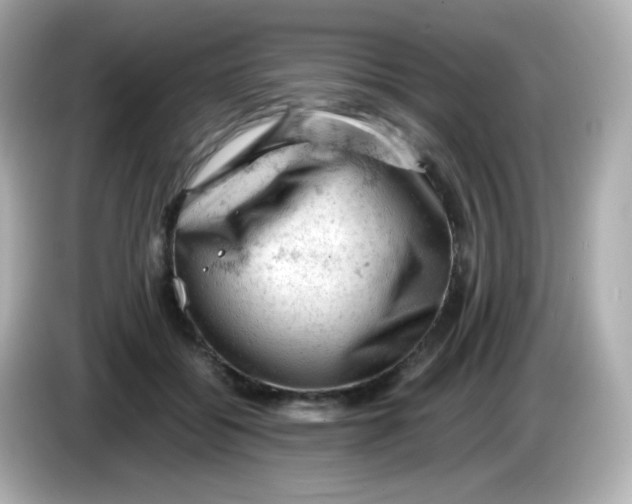 X0000086030556200704091134