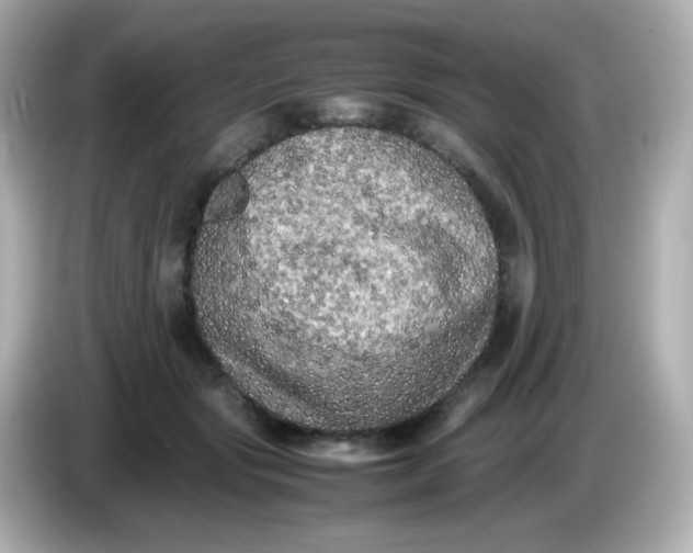 X0000086030557200704091134