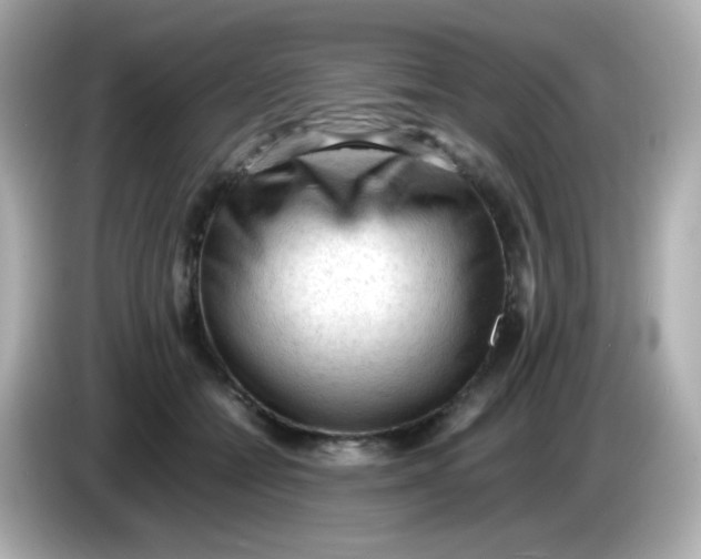 X0000086030558200704091134