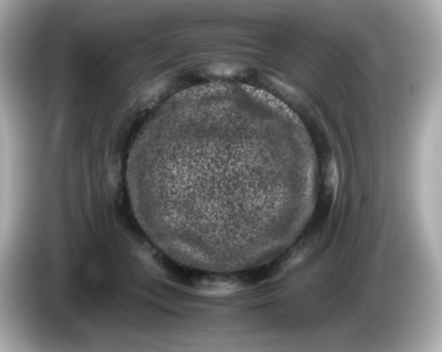 X0000086030559200704091134