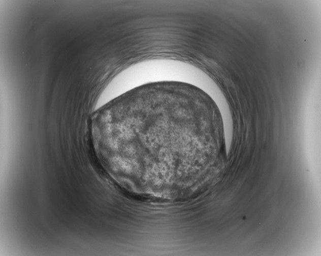 X0000086030560200704091134