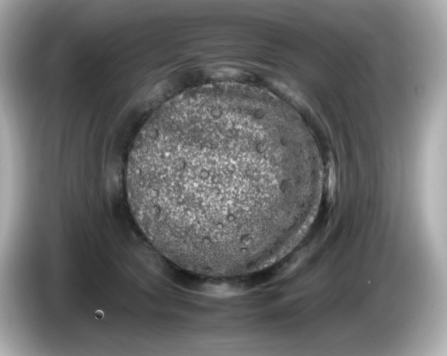 X0000086030561200704091134