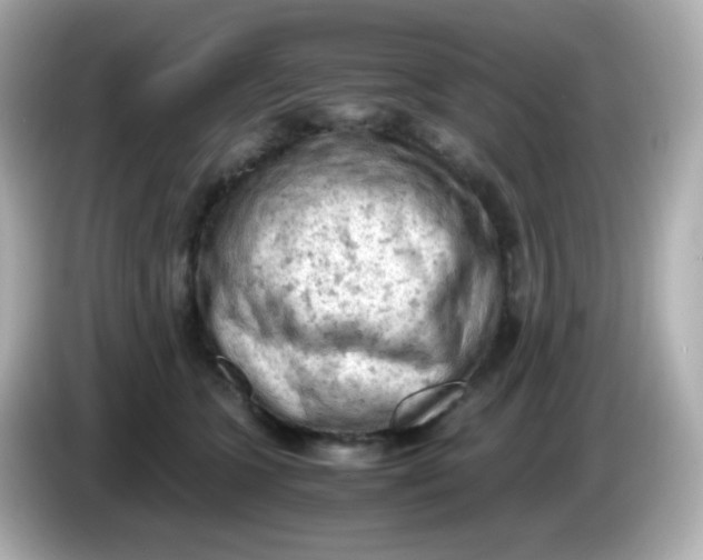 X0000086030563200704091134