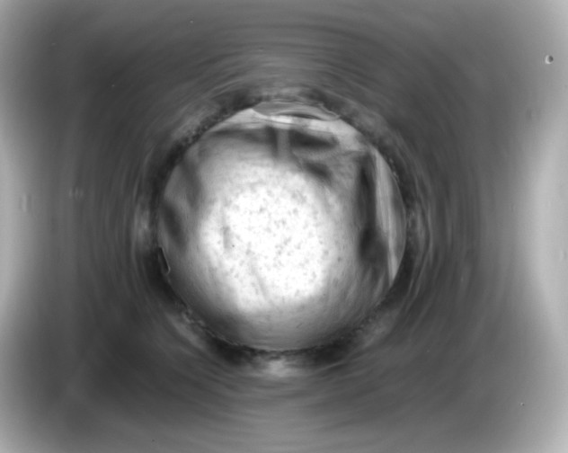 X0000086030564200704091134