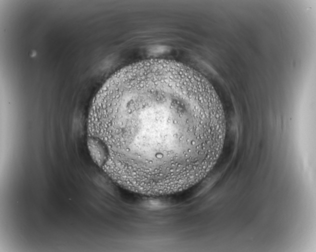 X0000086030565200704091134