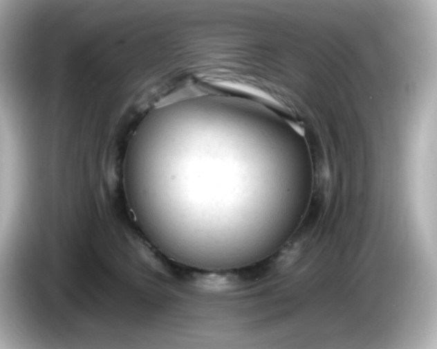 X0000086030566200704091134