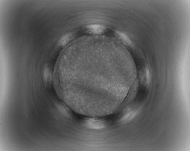 X0000086030568200704091134