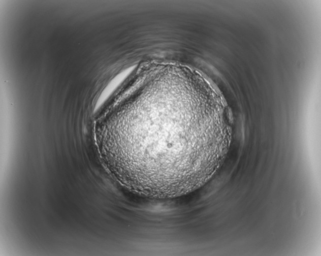 X0000086030569200704091134