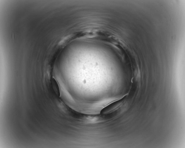 X0000086030570200704091134