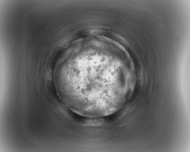 X0000086030571200704091134