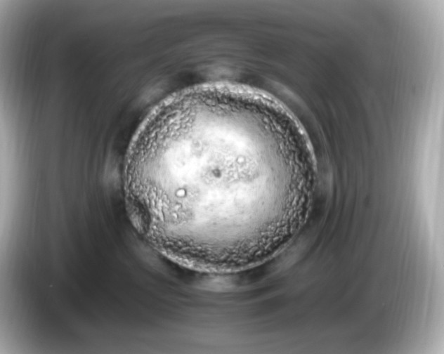 X0000086030573200704091134