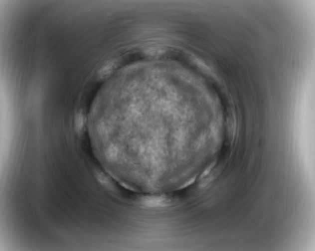 X0000086030574200704091134