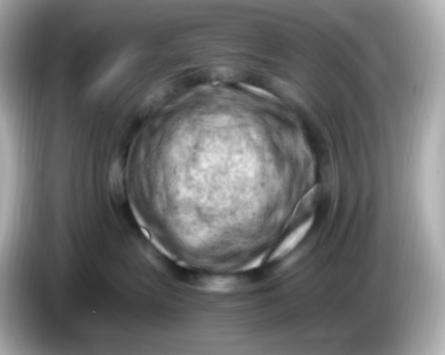 X0000086030575200704091134