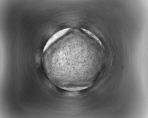 X0000086030576200704091135