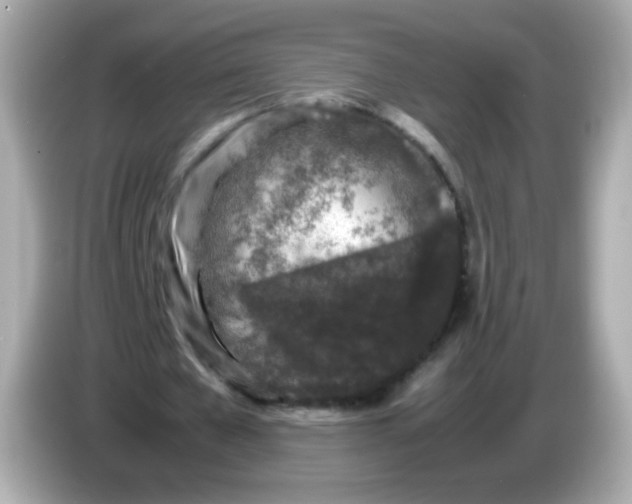 X0000086030577200704091134