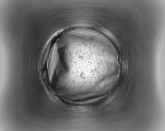 X0000086030580200704091134