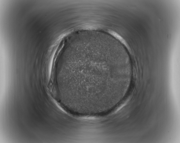 X0000086030581200704091134