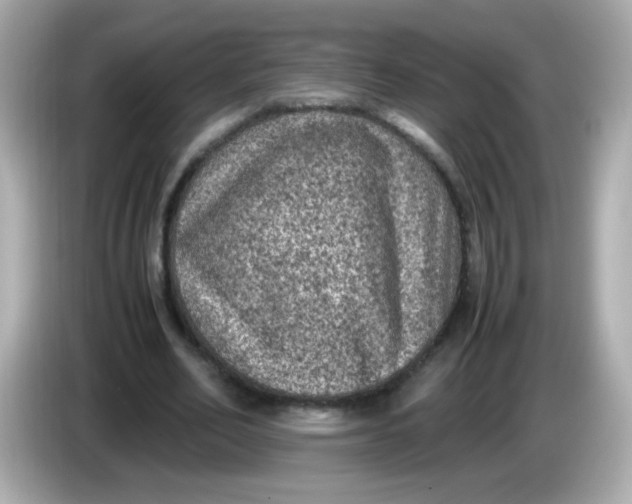 X0000086030582200704091134