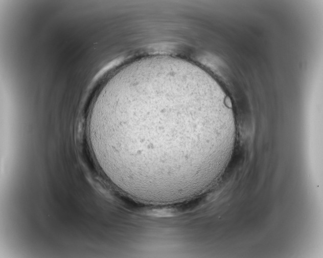 X0000086030583200704091134