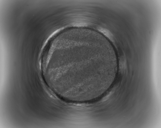 X0000086030584200704091134