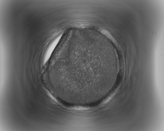 X0000086030585200704091134