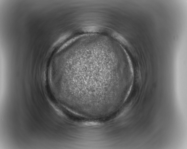 X0000086030586200704091134