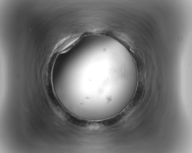 X0000086030587200704091134