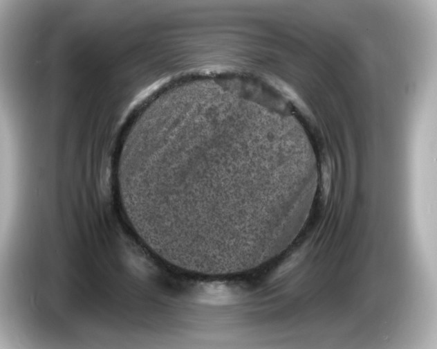 X0000086030588200704091134