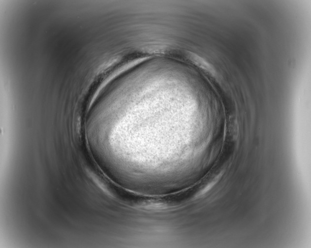 X0000086030589200704091134