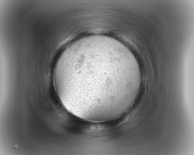 X0000086030591200704091134