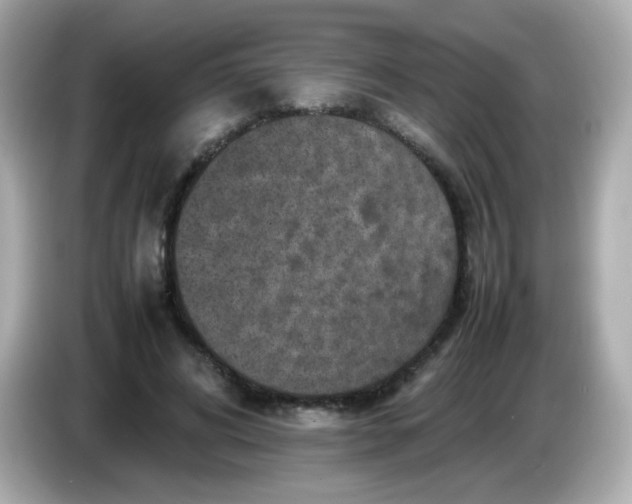 X0000086030592200704091134