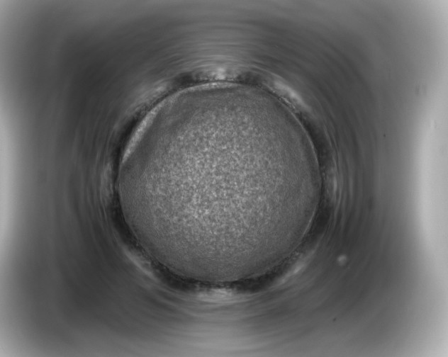 X0000086030594200704091134