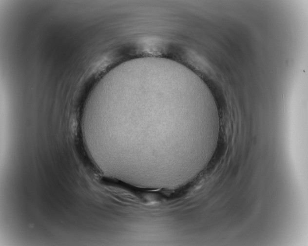 X0000086030595200704091134