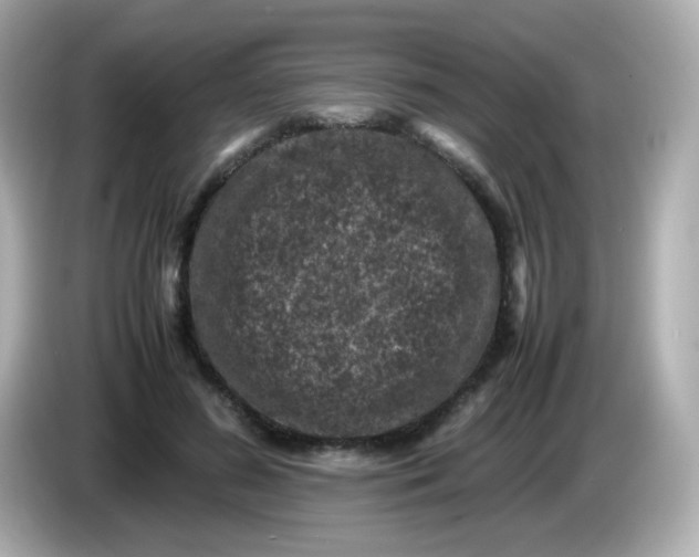 X0000086030596200704091134