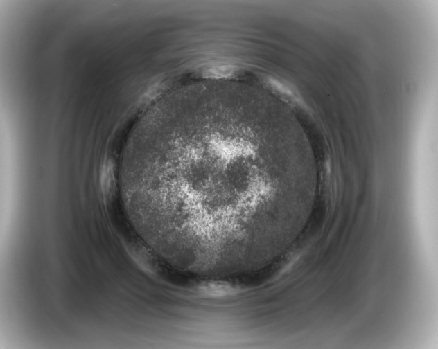 X0000086030598200704091134