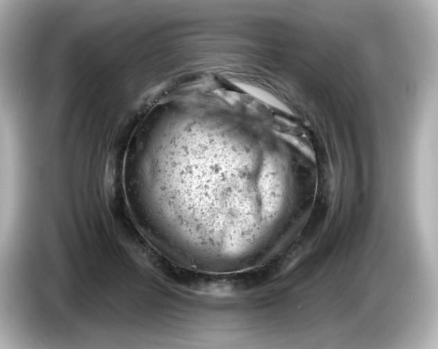 X0000086030600200704091134