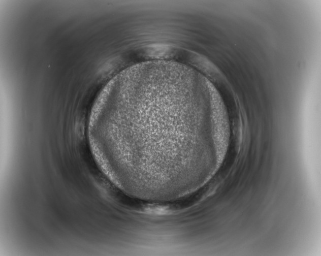 X0000086030602200704091134