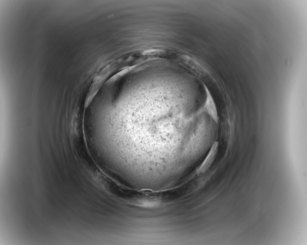 X0000086030604200704091134