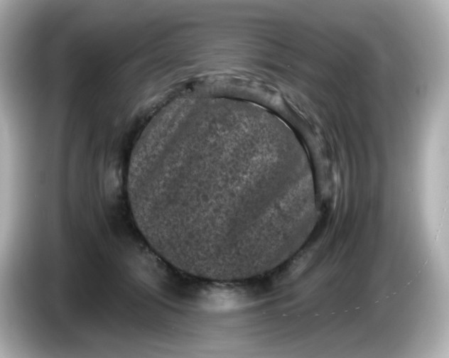 X0000086030608200704091134