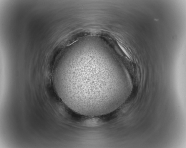 X0000086030609200704091134