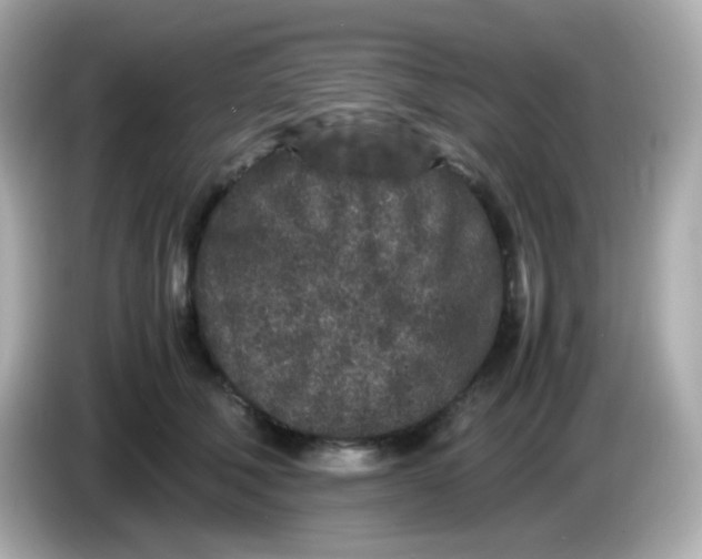 X0000086030610200704091134