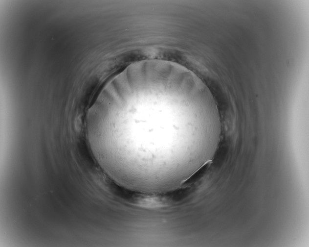 X0000086030611200704091134