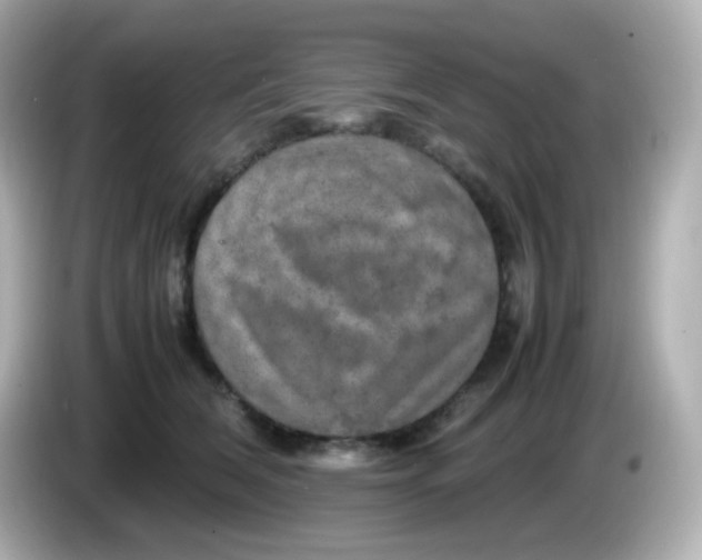 X0000086030612200704091134