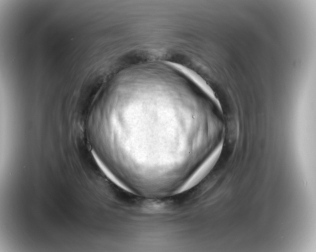 X0000086030613200704091134