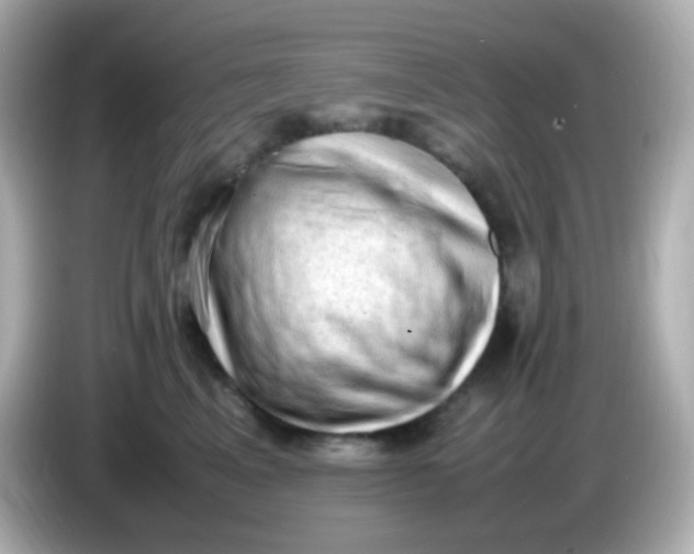 X0000086030617200704091133